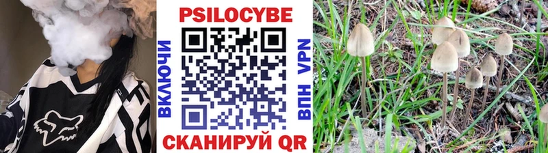 закладки  Воронеж  Галлюциногенные грибы MAGIC MUSHROOMS 