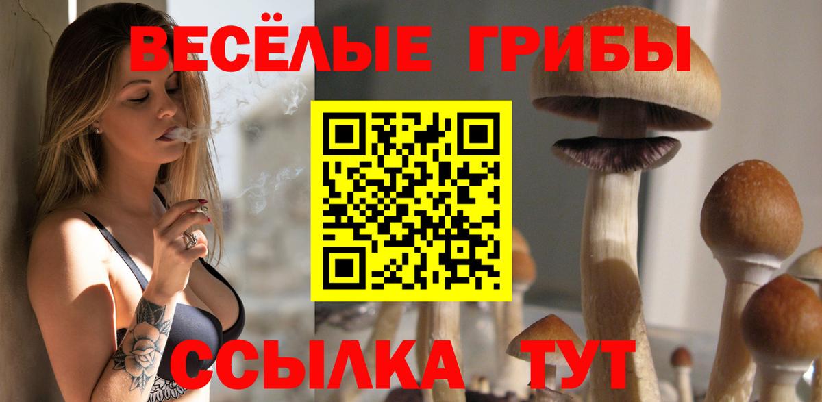 Псилоцибиновые грибы Psilocybe Воронеж