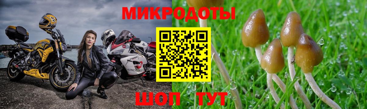 Галлюциногенные грибы GOLDEN TEACHER  Вход с VPN  Воронеж 